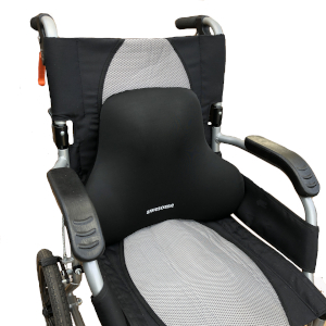 Back Cushion